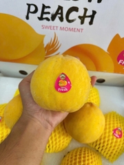 Đào vàng KK