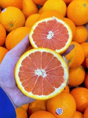 Cam Cara Ruột Đỏ