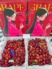 NHO ĐỎ NỮ HOÀNG NINA