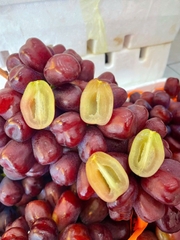 Nho mẫu đơn Đỏ Tím