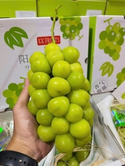 Nho sữa giống Nhật Vip - thùng 2 chùm