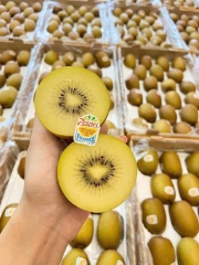 Kiwi Vàng New Zealand Size 27 – Ngọt Mát, Mọng Nước, Dinh Dưỡng Đỉnh Cao
