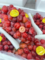 Nho ruby đỏ roman