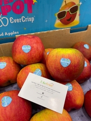 Táo evercrisp New Zealand S35