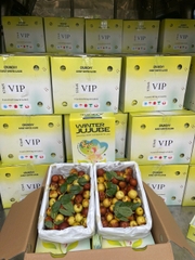 Hồng Táo Cô Tiên Xanh (Thùng 1.5kg)
