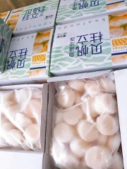 CỒI SÒ ĐIỆP Nhật size 20-25