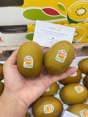 Kiwi Vàng New Zealand Size 27 – Ngọt Mát, Mọng Nước, Dinh Dưỡng Đỉnh Cao