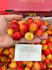 Cherry Vàng Koala Úc – Ngọt Thanh, Giòn Mọng, Chuẩn Cao Cấp