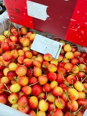 Cherry Vàng Koala Úc – Ngọt Thanh, Giòn Mọng, Chuẩn Cao Cấp