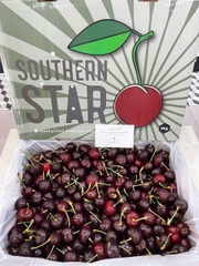 Cherry Úc Southern Size lớn – Trái Tươi Giòn Mọng, Ngọt Sâu Chuẩn Chất Lượng Cao Cấp