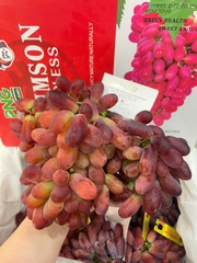 Nho Đỏ Long Crimson – Giòn Ngọt Tự Nhiên, Tươi Ngon Chuẩn Nhập Khẩu