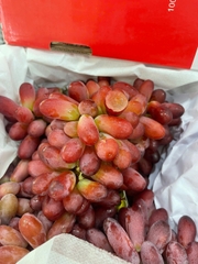 Nho Đỏ Long Crimson – Giòn Ngọt Tự Nhiên, Tươi Ngon Chuẩn Nhập Khẩu