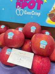TÁO MỸ EVERCRISP 2A S28
