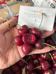 Cherry Chile 2JD – Siêu Giòn, Ngọt Đậm, Tươi Ngon Chuẩn Đầu Mùa
