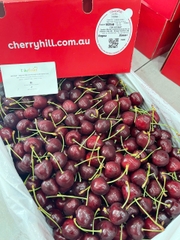 Cherry đỏ úc Hill Regina 26-28 – Trái Tươi Giòn Mọng, Ngọt Sâu Chuẩn Chất Lượng Cao Cấp