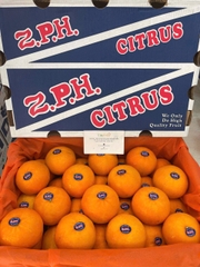 QUÝT 2PH - S42