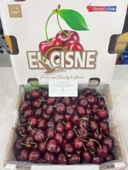 Cherry Chile Elcisne Xách 2.5kg – Cherry Nam Mỹ Tươi Ngọt, Quà Biếu Sang Trọng