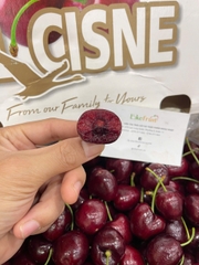 Cherry Chile Elcisne Xách 2.5kg – Cherry Nam Mỹ Tươi Ngọt, Quà Biếu Sang Trọng