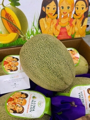 Dưa Lưới Luma Cao Cấp – Thơm Ngọt Tự Nhiên, Trái Đẹp Chuẩn Quà Biếu | Like Fruit