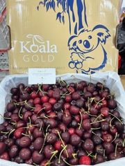 Cherry Đỏ Úc Koala S26 – Trái To Giòn Ngọt, Hàng Cao Cấp Tại Likefruit