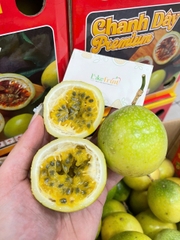 Chanh Dây Ngọt Vỏ Ổi – Thơm Dịu, Ít Chua, Ăn Tươi Cực Đã | Like Fruit