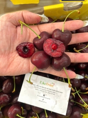 Cherry Chile Lucila Size 3J Xách Tay 2.5kg – Trái Siêu To, Ngọt Đậm, Giòn Căng Nước | Like Fruit