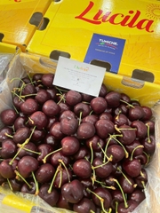 Cherry Chile Lucila Size 3J Xách Tay 2.5kg – Trái Siêu To, Ngọt Đậm, Giòn Căng Nước | Like Fruit