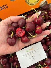 Cherry Chile Santina Grand Cam XL – Xách 2.5kg | Giòn Ngọt, Chuẩn Cherry Nhập Khẩu Cao Cấp
