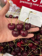 Cherry New Zealand Red Pearl Size 26–28 – Trái To Đều, Giòn Ngọt, Hàng Cao Cấp Tại Like Fruit