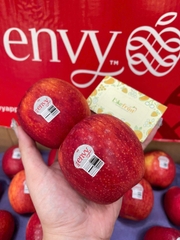 Táo Envy Mỹ size 72 – Giòn ngọt cao cấp, ăn là ghiền