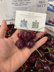 Cherry New Zealand Penguin size 26–28 (thùng 5kg) – Trái to đều, ngọt đậm, giòn mọng cao cấp