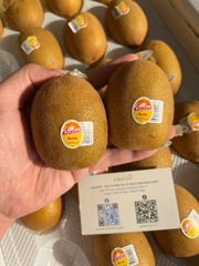 Kiwi NĐT thùng 2.3kg – Mềm ngọt tự nhiên, chua thanh dễ ăn