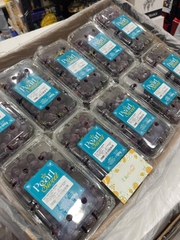 Nho kẹo Nam Phi hộp 500gr – Ngọt thơm tự nhiên, không cần lột vỏ
