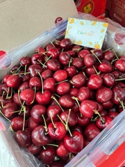 Cherry Chile Cerasus 2JD (Xách 2.5kg) – To vượt trội, giòn ngọt đậm vị Premium