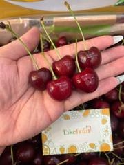 Cherry Chile XLD Queen Regina – Trái đại size, giòn ngọt sang trọng