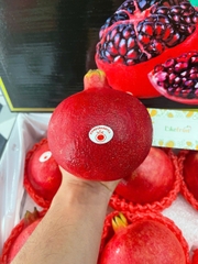 Lựu Huyết Rồng – Đỏ Ruby, Ngọt Thanh, Giàu Chất Chống Oxy Hóa (Thùng size 6)