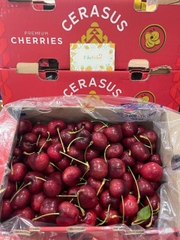 Cherry Chile Cerasus size 4JD – Siêu to, giòn ngọt đậm vị, chuẩn cherry cao cấp (thùng 2.5kg)