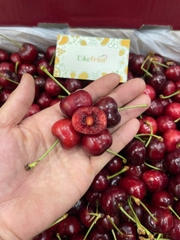 Cherry Mỹ Sequoia S10 (Lô đầu mùa) – Trái To Giòn Ngọt, Hàng Cực Tươi