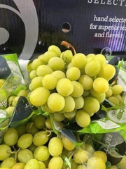 Nho Fruitico Úc – Trái To Giòn Ngọt, Tươi Mọng Chuẩn Nho Úc Cao Cấp