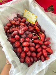 NHO ĐỎ NỮ HOÀNG NINA