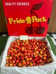 Cherry Vàng Mỹ S10 PridePack – Siêu Phẩm Giòn Ngọt, Hiếm Mỗi Mùa