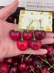 Cherry Mỹ Bing S9.5 – Trái To Đỏ Đậm, Giòn Ngọt Chuẩn Cherry Mỹ Cao Cấp