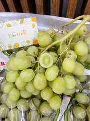 Nho Xanh Chile J – Trái  Giòn Ngọt,  Ăn Cực Cuốn