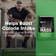 ON Serious Mass 12 Lbs (5.4 KG)