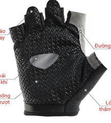 Bao tay tập Gym ( tặng )