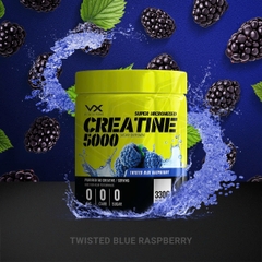 Vitaxtrong Creatine 5000 Super Micronized (300g, 500g)