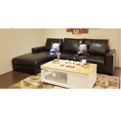 Sofa Da Gia Đình SF105