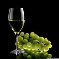 Rượu Merlot
