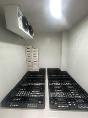 Kho Lạnh Bảo Quản Hải Sản