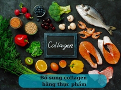 Bổ Sung Collagen Cho Da: Top 5+ Thực Phẩm Giàu Collagen Và Lợi Ích Tuyệt Vời